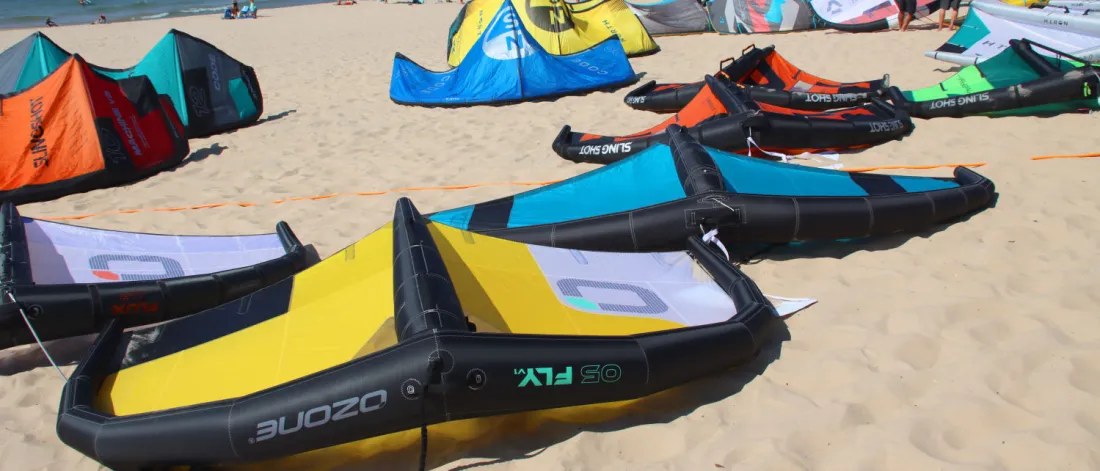 De nombreuses wings exposées sur la plage.