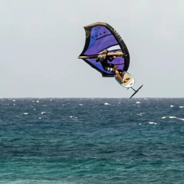 Wing